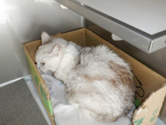 DSCF2306.JPG