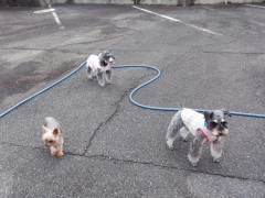 DSCF2293.JPG