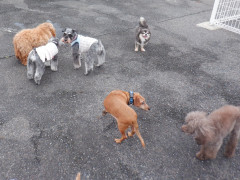DSCF2275.JPG