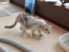 DSCF2311.JPG