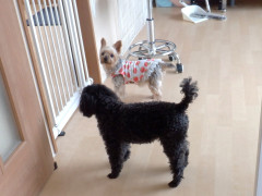 DSCF2313.JPG