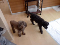 DSCF2315.JPG