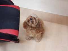 DSCF2316.JPG