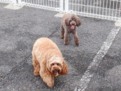 DSCF2318.JPG