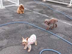 DSCF2327.JPG