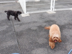 DSCF2329.JPG
