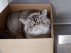 DSCF2339.JPG