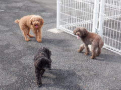DSCF2345.JPG