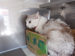 DSCF2357.JPG
