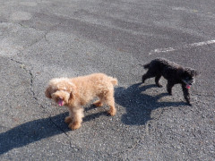DSCF2370.JPG