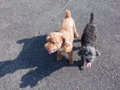 DSCF2362.JPG
