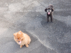 DSCF2384.JPG