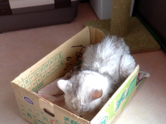 DSCF2396.JPG