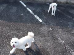 DSCF2386.JPG