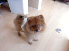 DSCF2426.JPG