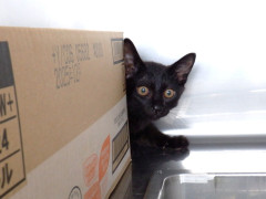 DSCF2409.JPG