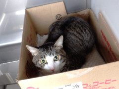 DSCF2406.JPG