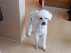 DSCF2420.JPG