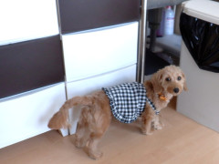 DSCF2423.JPG