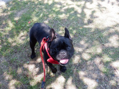 DSCF2431.JPG