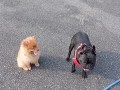 DSCF2436.JPG