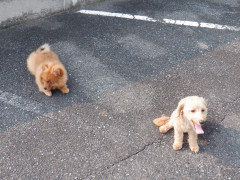 DSCF2449.JPG