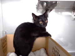 DSCF2452.JPG