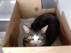 DSCF2453.JPG
