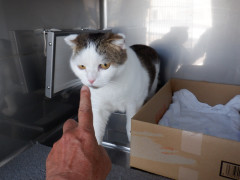 DSCF2465.JPG