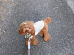 DSCF2473.JPG