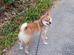 DSCF2480.JPG