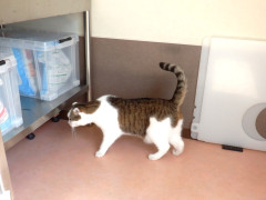 DSCF2488.JPG