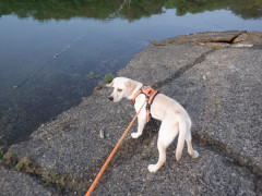 DSCF2508.JPG