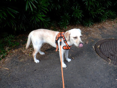 DSCF2513.JPG