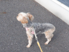 DSCF2516.JPG