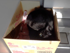 DSCF2522.JPG