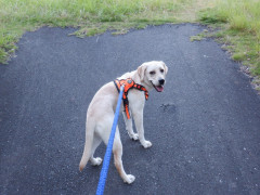 DSCF2527.JPG