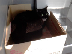 DSCF2533.JPG