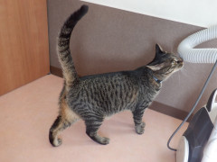 DSCF2536.JPG