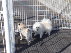 DSCF2548.JPG