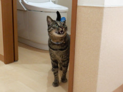 DSCF2551.JPG