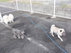 DSCF2566.JPG