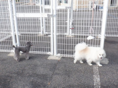 DSCF2564.JPG