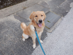 DSCF2569.JPG