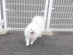 DSCF2571.JPG