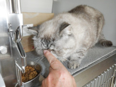 DSCF2573.JPG
