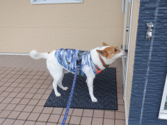 DSCF2578.JPG