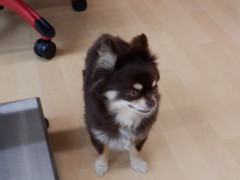 DSCF2583.JPG