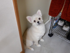 DSCF2581.JPG