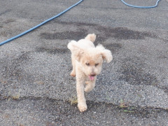 DSCF2595.JPG
